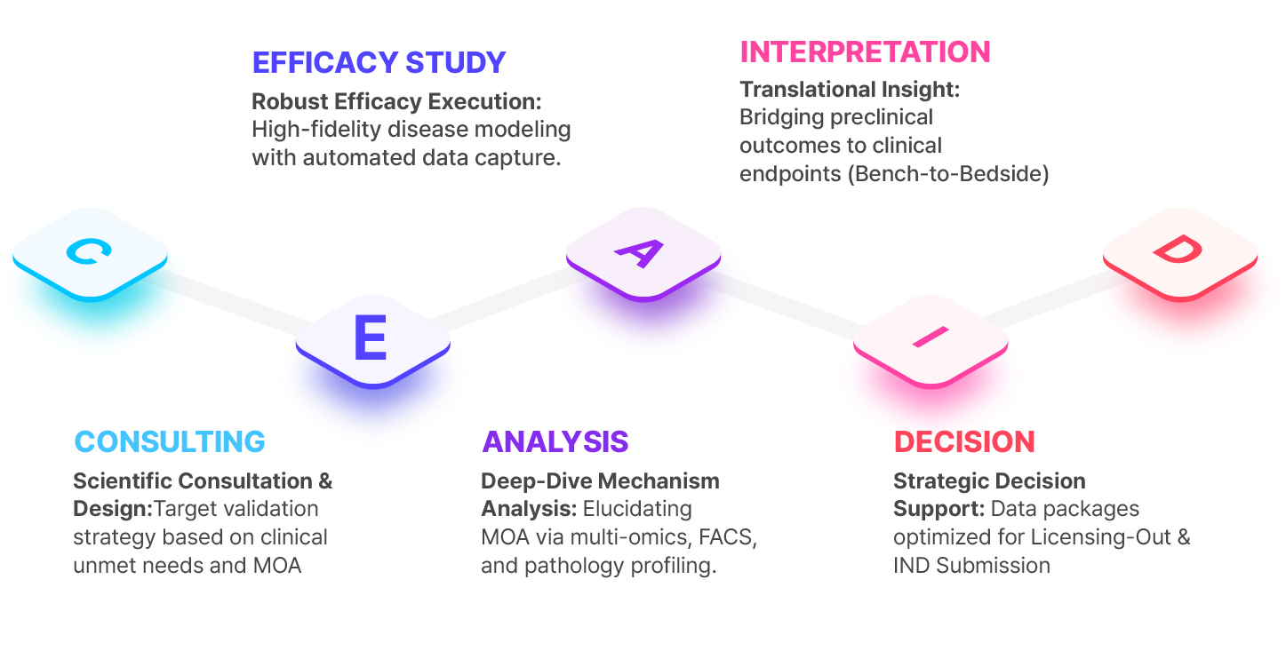 Partnership Platform